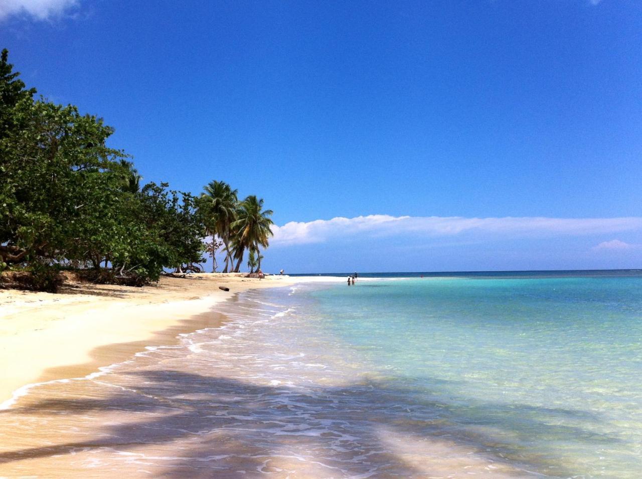 Caribbean Seaview Apart Malecon サントドミンゴ エクステリア 写真